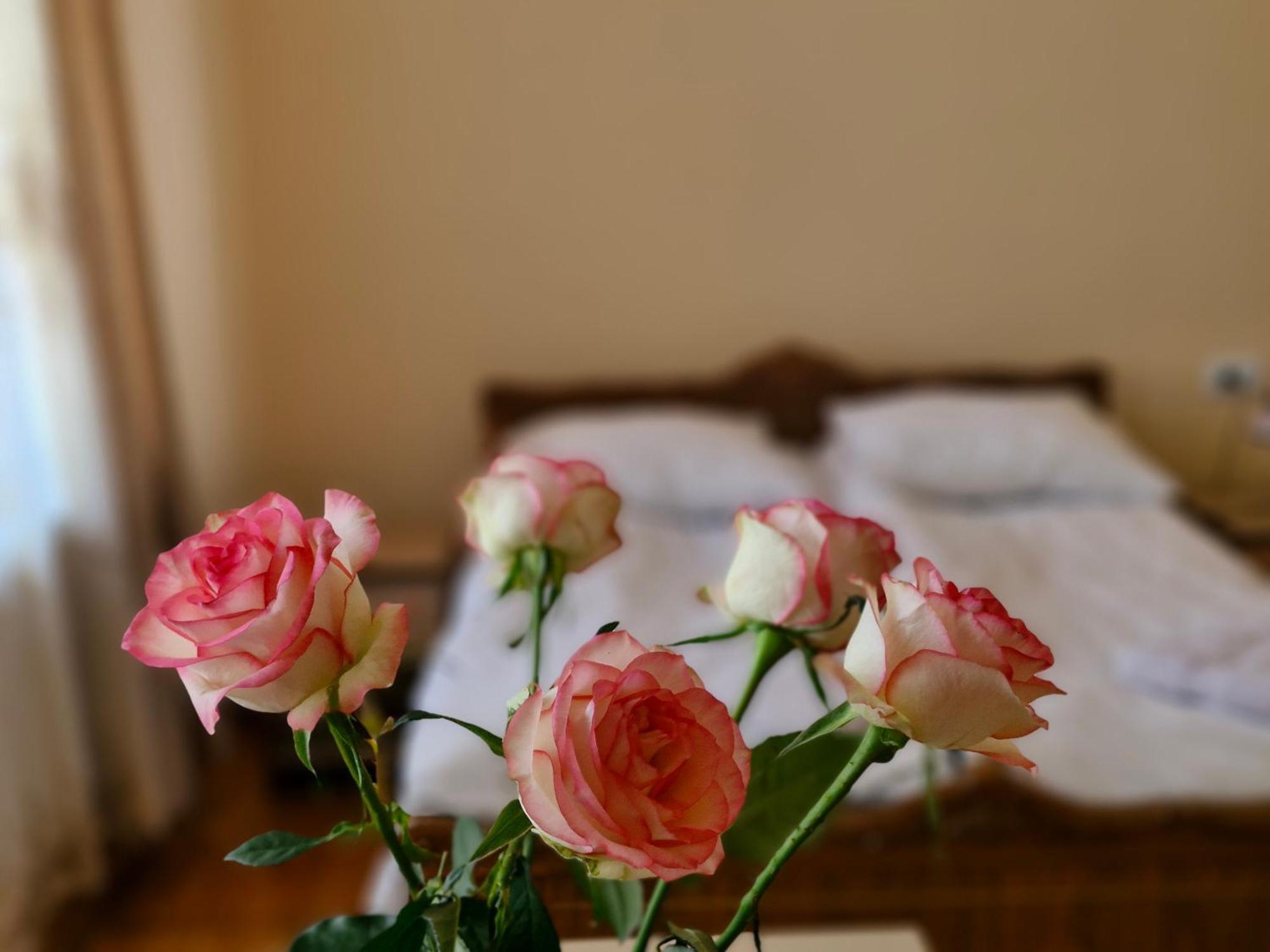 Guest House David'S B&B Гюмри Екстериор снимка